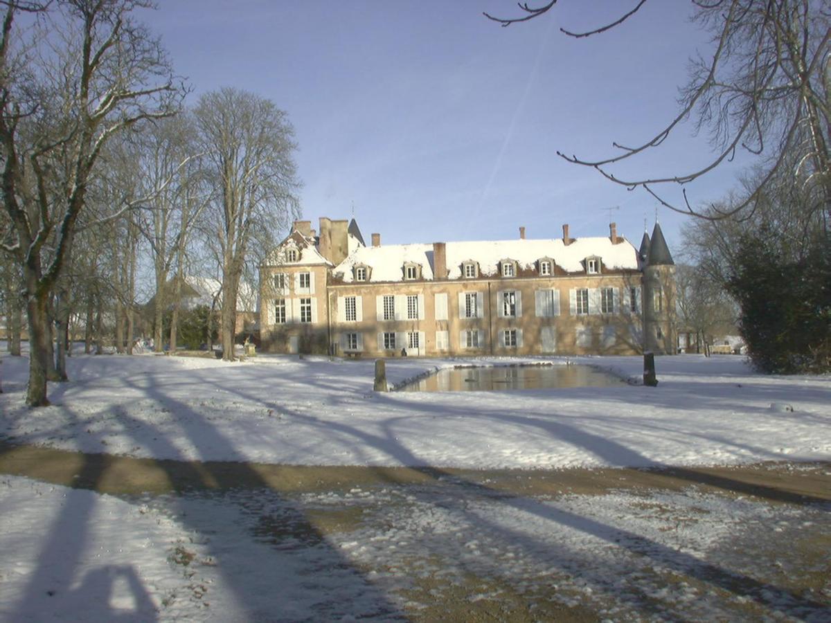 Chateau D'Island Vezelay Pontaubert Exterior foto