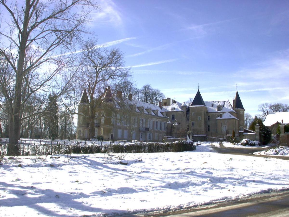 Chateau D'Island Vezelay Pontaubert Exterior foto