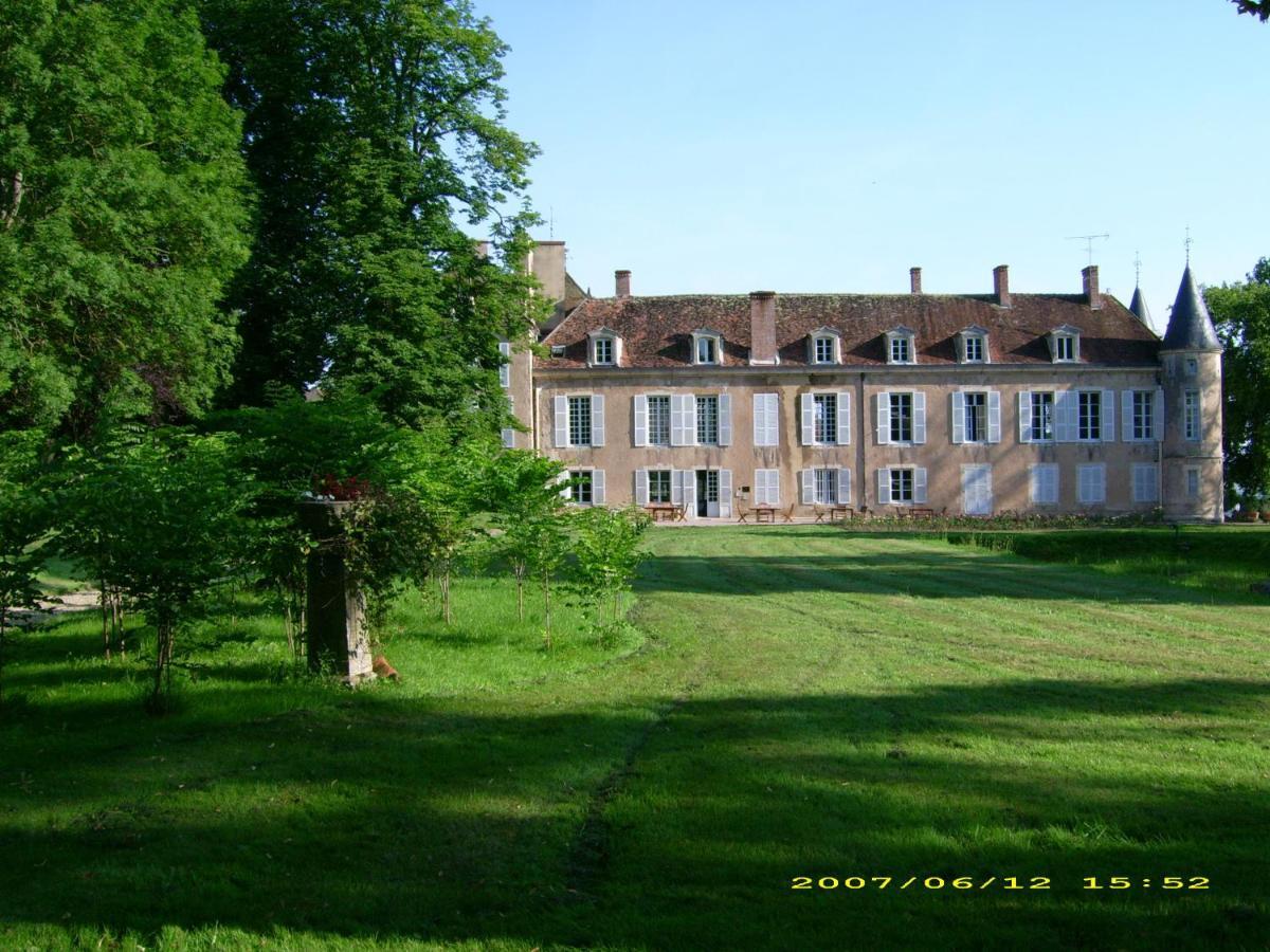 Chateau D'Island Vezelay Pontaubert Exterior foto